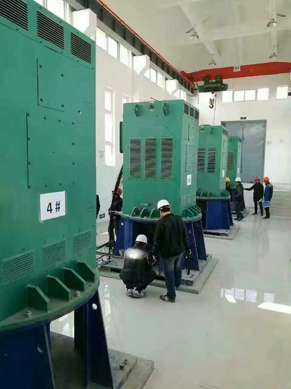 Y5002-10某污水处理厂使用我厂的立式高压电机安装现场