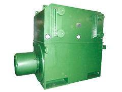 Y5002-10YRKS系列高压电动机