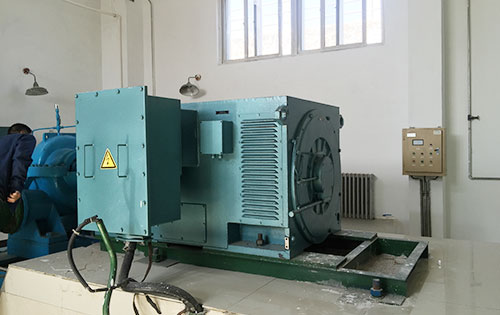 Y5002-10某水电站工程主水泵使用我公司高压电机