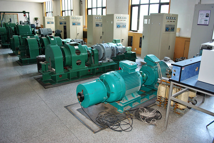 Y5002-10某热电厂使用我厂的YKK高压电机提供动力