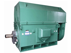 Y5002-10Y系列6KV高压电机