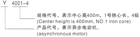 西安泰富西玛Y系列(H355-1000)高压Y5002-10三相异步电机型号说明