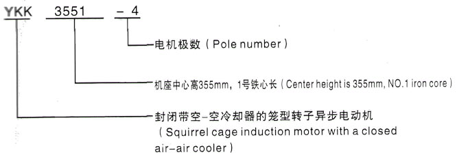 YKK系列(H355-1000)高压Y5002-10三相异步电机西安泰富西玛电机型号说明